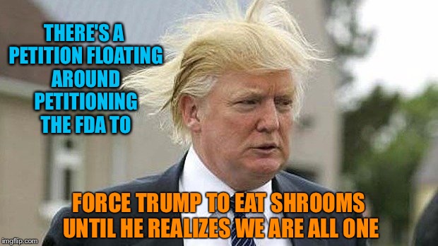 We are all one | THERE'S A PETITION FLOATING AROUND PETITIONING THE FDA TO; FORCE TRUMP TO EAT SHROOMS UNTIL HE REALIZES WE ARE ALL ONE | image tagged in petition,donald trump,fda,magic mushrooms,unity | made w/ Imgflip meme maker