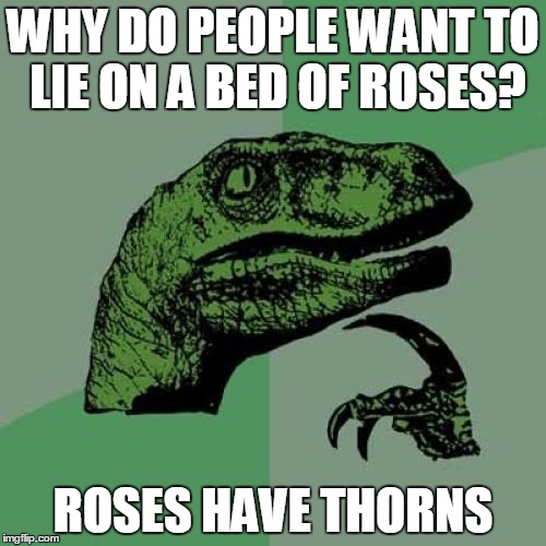 Philosoraptor | WHY DO PEOPLE WANT TO LIE ON A BED OF ROSES? ROSES HAVE THORNS | image tagged in memes,philosoraptor | made w/ Imgflip meme maker