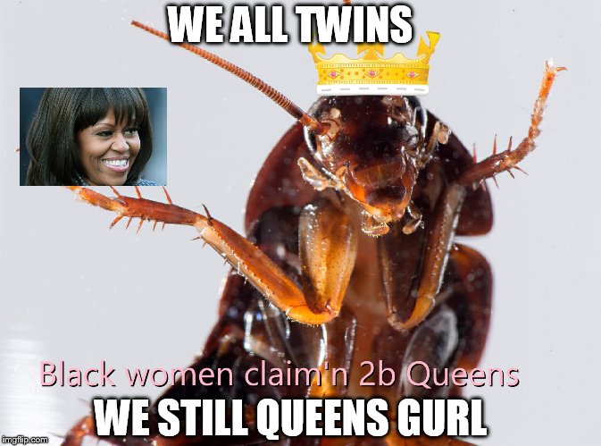 Still queens | WE ALL TWINS; WE STILL QUEENS GURL | image tagged in still queen | made w/ Imgflip meme maker