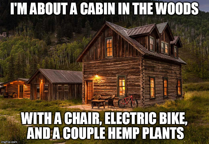 Everybody tries to figure me out from the means, they forgot my goal. | I'M ABOUT A CABIN IN THE WOODS; WITH A CHAIR, ELECTRIC BIKE, AND A COUPLE HEMP PLANTS | image tagged in cabin,memes,bill the butcher needs the hemp,more men died than anybody elses,king of the hill | made w/ Imgflip meme maker