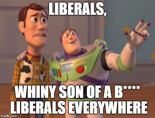 X, X Everywhere | LIBERALS, WHINY SON OF A B**** LIBERALS EVERYWHERE | image tagged in memes,x x everywhere | made w/ Imgflip meme maker
