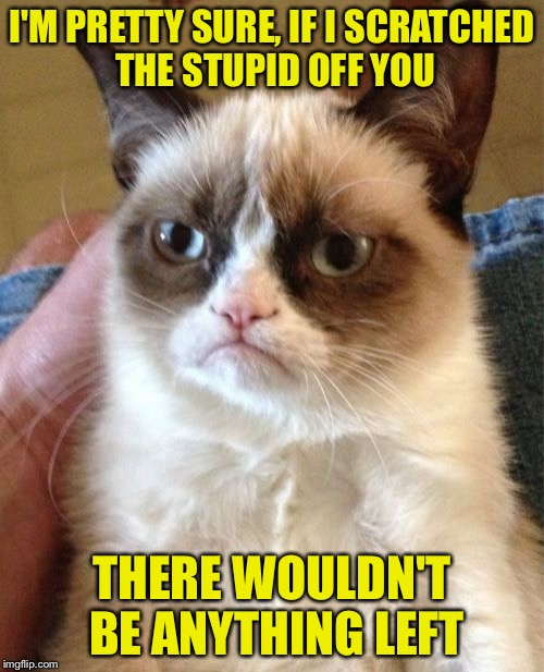 Grumpy Cat | I'M PRETTY SURE, IF I SCRATCHED THE STUPID OFF YOU; THERE WOULDN'T BE ANYTHING LEFT | image tagged in memes,grumpy cat | made w/ Imgflip meme maker