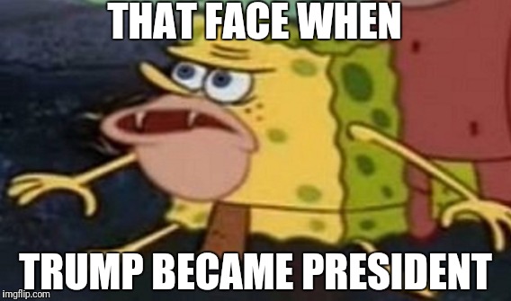 SpongebobMeme/Trump | THAT FACE WHEN; TRUMP BECAME PRESIDENT | image tagged in funny memes | made w/ Imgflip meme maker