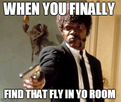 Say That Again I Dare You | WHEN YOU FINALLY; FIND THAT FLY IN YO ROOM | image tagged in memes,say that again i dare you | made w/ Imgflip meme maker