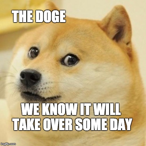 Doge Meme | THE DOGE; WE KNOW IT WILL TAKE OVER SOME DAY | image tagged in memes,doge | made w/ Imgflip meme maker