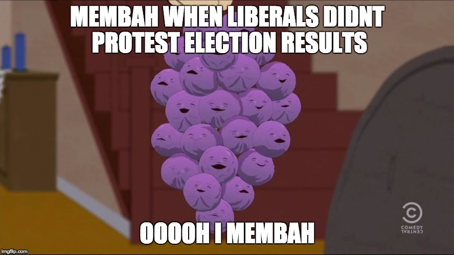 Member Berries | MEMBAH WHEN LIBERALS DIDNT PROTEST ELECTION RESULTS; OOOOH I MEMBAH | image tagged in memes,member berries | made w/ Imgflip meme maker