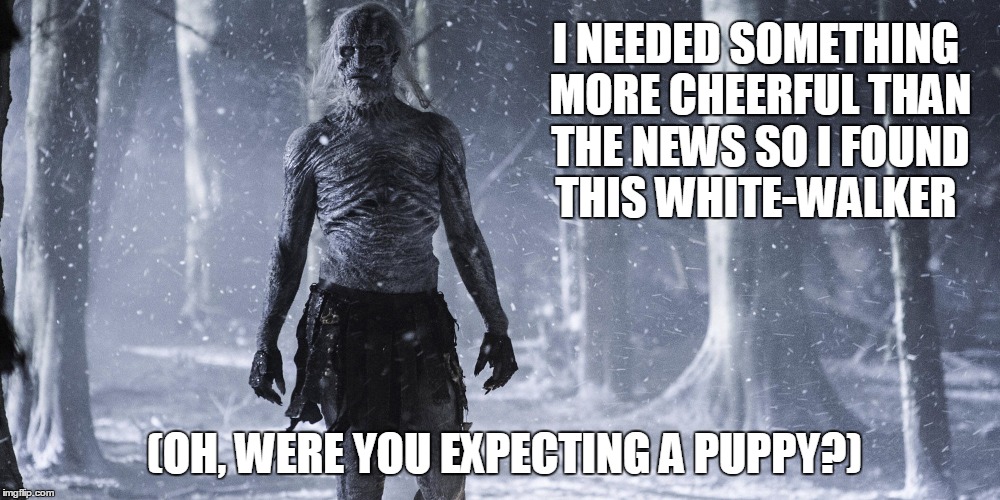 I NEEDED SOMETHING MORE CHEERFUL THAN THE NEWS SO I FOUND THIS WHITE-WALKER; (OH, WERE YOU EXPECTING A PUPPY?) | image tagged in news,white walker,funny,cheer up | made w/ Imgflip meme maker