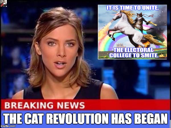 Breaking News | THE CAT REVOLUTION HAS BEGAN | image tagged in breaking news | made w/ Imgflip meme maker