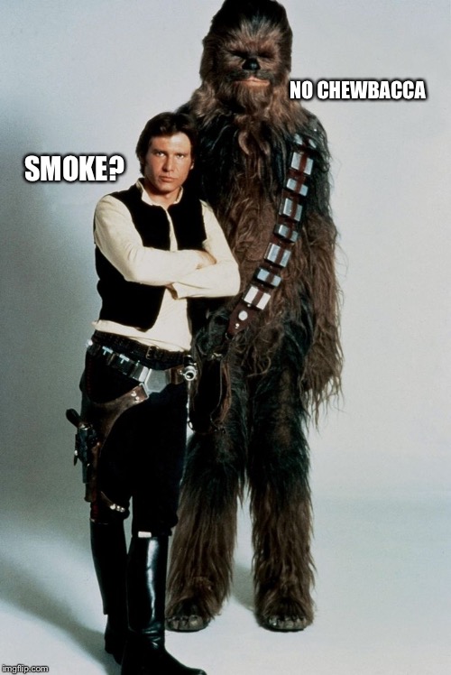 Wookie | SMOKE? NO CHEWBACCA | image tagged in wookie | made w/ Imgflip meme maker