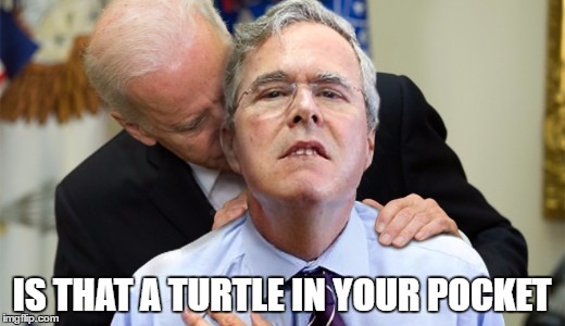 Is that a turtle in your pocket | IS THAT A TURTLE IN YOUR POCKET | image tagged in biden,joe biden,creepy uncle joe,jeb,jeb bush | made w/ Imgflip meme maker
