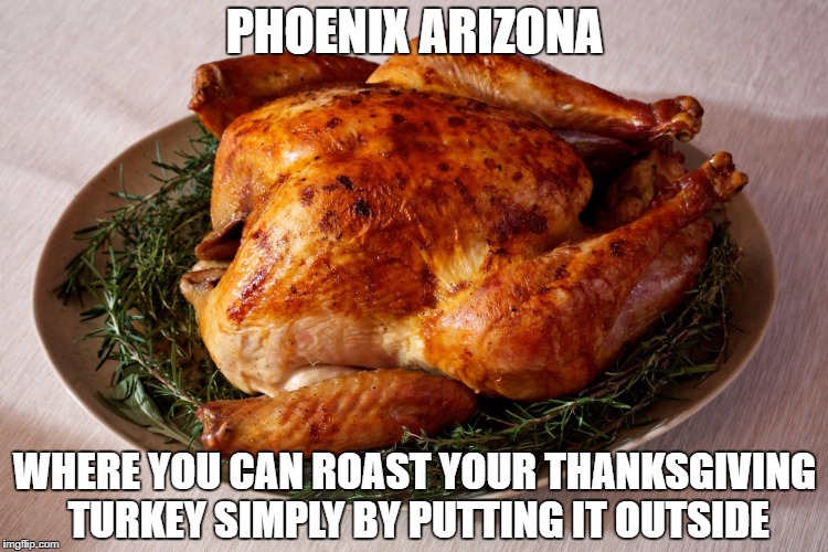 PHOENIX ARIZONA; WHERE YOU CAN ROAST YOUR THANKSGIVING TURKEY SIMPLY BY PUTTING IT OUTSIDE | image tagged in turkey,thanksgiving,hot | made w/ Imgflip meme maker