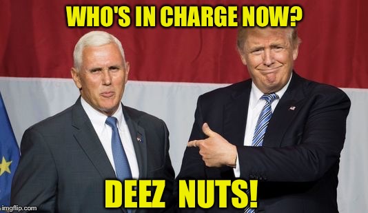 GERONIMO! | WHO'S IN CHARGE NOW? DEEZ  NUTS! | image tagged in president trump | made w/ Imgflip meme maker