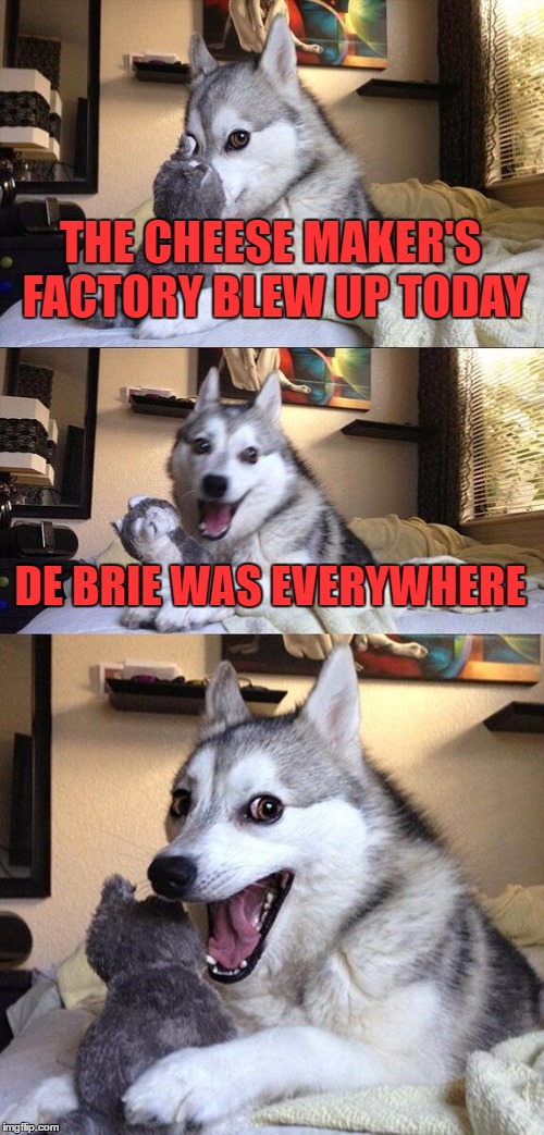 Bad Pun Dog | THE CHEESE MAKER'S FACTORY BLEW UP TODAY; DE BRIE WAS EVERYWHERE | image tagged in memes,bad pun dog | made w/ Imgflip meme maker