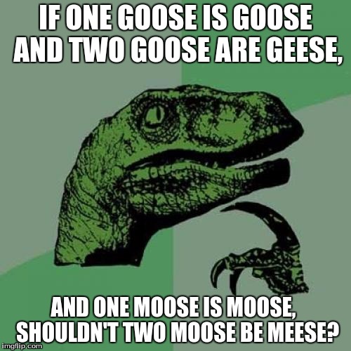 English+Dinosaurs | IF ONE GOOSE IS GOOSE AND TWO GOOSE ARE GEESE, AND ONE MOOSE IS MOOSE,  SHOULDN'T TWO MOOSE BE MEESE? | image tagged in memes,philosoraptor | made w/ Imgflip meme maker