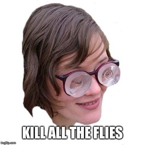 KILL ALL THE FLIES | made w/ Imgflip meme maker