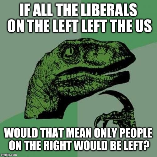 Wait what? | IF ALL THE LIBERALS ON THE LEFT LEFT THE US; WOULD THAT MEAN ONLY PEOPLE ON THE RIGHT WOULD BE LEFT? | image tagged in memes,philosoraptor | made w/ Imgflip meme maker