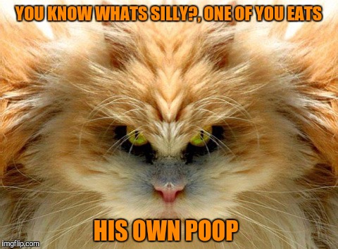YOU KNOW WHATS SILLY?, ONE OF YOU EATS HIS OWN POOP | made w/ Imgflip meme maker
