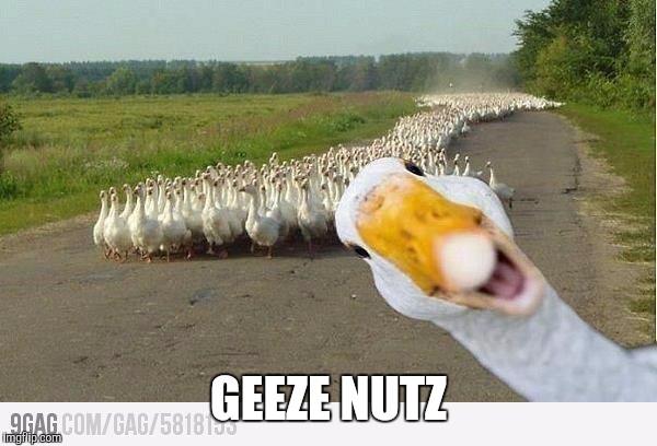 GEEZE NUTZ | made w/ Imgflip meme maker