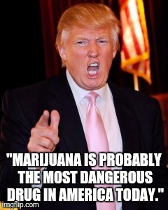Donald Trump | "MARIJUANA IS PROBABLY THE MOST DANGEROUS DRUG IN AMERICA TODAY." | image tagged in donald trump | made w/ Imgflip meme maker