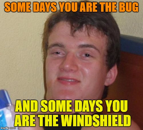 10 Guy Meme | SOME DAYS YOU ARE THE BUG; AND SOME DAYS YOU ARE THE WINDSHIELD | image tagged in memes,10 guy | made w/ Imgflip meme maker