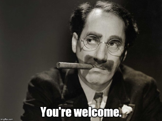 Thoughtful Groucho | You're welcome. | image tagged in thoughtful groucho | made w/ Imgflip meme maker