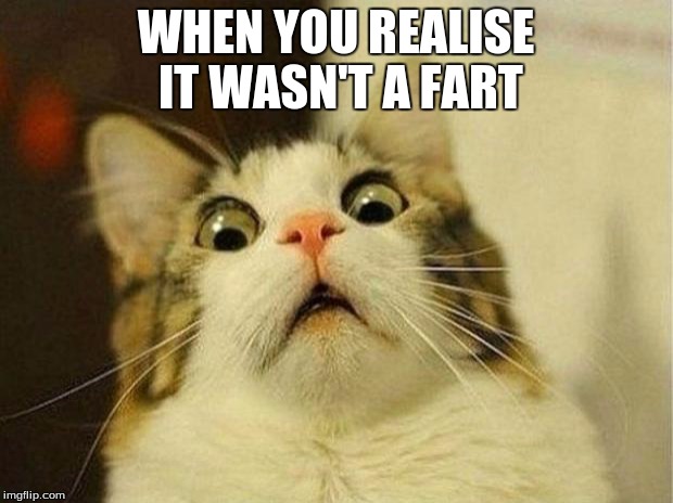 Scared Cat Meme | WHEN YOU REALISE IT WASN'T A FART | image tagged in memes,scared cat | made w/ Imgflip meme maker