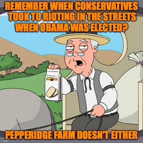 Pepperidge Farm Remembers | REMEMBER WHEN CONSERVATIVES TOOK TO RIOTING IN THE STREETS WHEN OBAMA WAS ELECTED? PEPPERIDGE FARM DOESN'T EITHER | image tagged in memes,pepperidge farm remembers | made w/ Imgflip meme maker