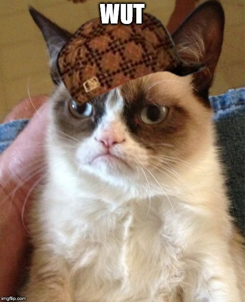 Grumpy Cat Meme | WUT | image tagged in memes,grumpy cat,scumbag | made w/ Imgflip meme maker