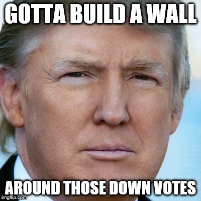 GOTTA BUILD A WALL AROUND THOSE DOWN VOTES | image tagged in trump frase | made w/ Imgflip meme maker