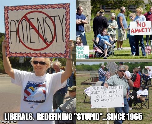 You can't fix stupid | LIBERALS.  REDEFINING "STUPID"...SINCE 1965 | image tagged in stupid liberals | made w/ Imgflip meme maker