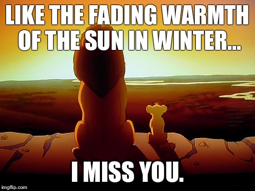 Lion King Meme | LIKE THE FADING WARMTH OF THE SUN IN WINTER... I MISS YOU. | image tagged in memes,lion king | made w/ Imgflip meme maker