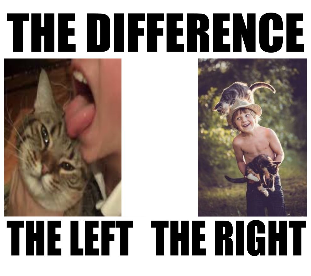 the difference of pussies Blank Meme Template