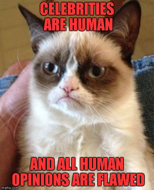 Grumpy Cat Meme | CELEBRITIES ARE HUMAN AND ALL HUMAN OPINIONS ARE FLAWED | image tagged in memes,grumpy cat | made w/ Imgflip meme maker