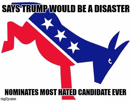 Democrats Mule | SAYS TRUMP WOULD BE A DISASTER; NOMINATES MOST HATED CANDIDATE EVER | image tagged in democrats mule | made w/ Imgflip meme maker