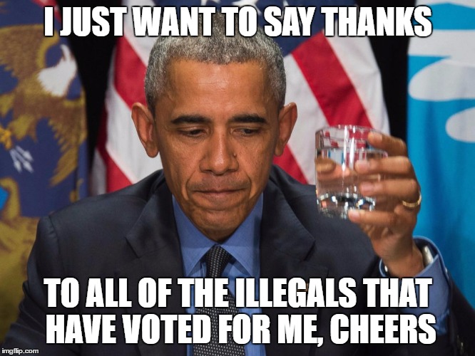 Obama | I JUST WANT TO SAY THANKS; TO ALL OF THE ILLEGALS THAT HAVE VOTED FOR ME, CHEERS | image tagged in illegal immigration | made w/ Imgflip meme maker