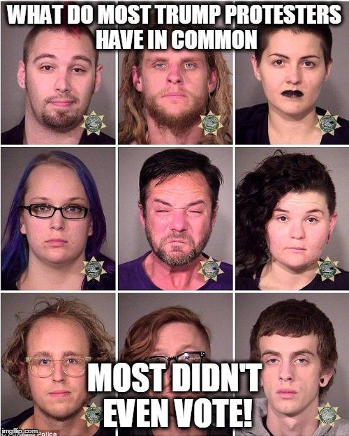 WHAT DO MOST TRUMP PROTESTERS HAVE IN COMMON; MOST DIDN'T EVEN VOTE! | image tagged in trump protest | made w/ Imgflip meme maker