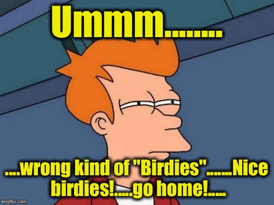 Futurama Fry Meme | Ummm........ ....wrong kind of "Birdies".......Nice birdies!.....go home!..... | image tagged in memes,futurama fry | made w/ Imgflip meme maker