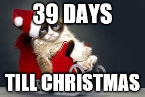 Grumpy Cat Christmas | 39 DAYS; TILL CHRISTMAS | image tagged in grumpy cat christmas | made w/ Imgflip meme maker
