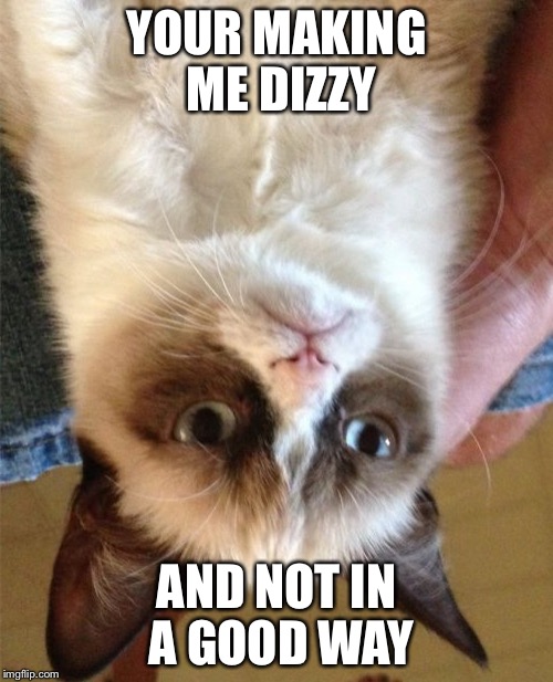Grumpy Cat Meme | YOUR MAKING ME DIZZY; AND NOT IN A GOOD WAY | image tagged in memes,grumpy cat | made w/ Imgflip meme maker