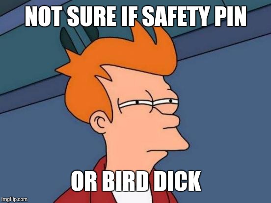 Futurama Fry Meme | NOT SURE IF SAFETY PIN OR BIRD DICK | image tagged in memes,futurama fry | made w/ Imgflip meme maker