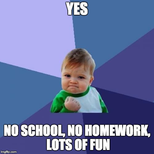 Success Kid Meme | YES; NO SCHOOL, NO HOMEWORK, LOTS OF FUN | image tagged in memes,success kid | made w/ Imgflip meme maker
