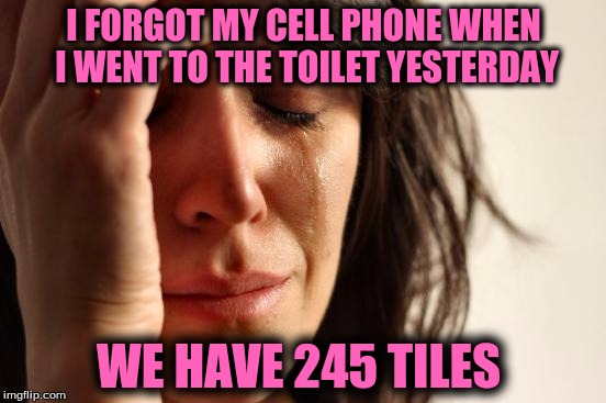 First World Problems | I FORGOT MY CELL PHONE WHEN I WENT TO THE TOILET YESTERDAY; WE HAVE 245 TILES | image tagged in memes,first world problems | made w/ Imgflip meme maker