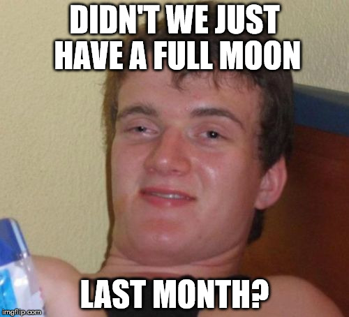 10 Guy | DIDN'T WE JUST HAVE A FULL MOON; LAST MONTH? | image tagged in memes,10 guy | made w/ Imgflip meme maker
