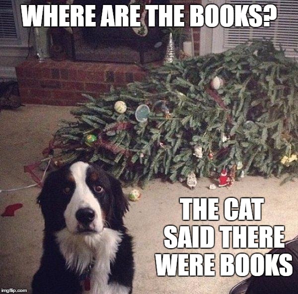 Dog Christmas Tree | WHERE ARE THE BOOKS? THE CAT SAID THERE WERE BOOKS | image tagged in dog christmas tree | made w/ Imgflip meme maker