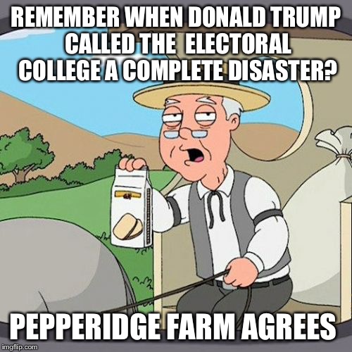 Pepperidge Farm Remembers Meme | REMEMBER WHEN DONALD TRUMP CALLED THE  ELECTORAL COLLEGE A COMPLETE DISASTER? PEPPERIDGE FARM AGREES | image tagged in memes,pepperidge farm remembers | made w/ Imgflip meme maker