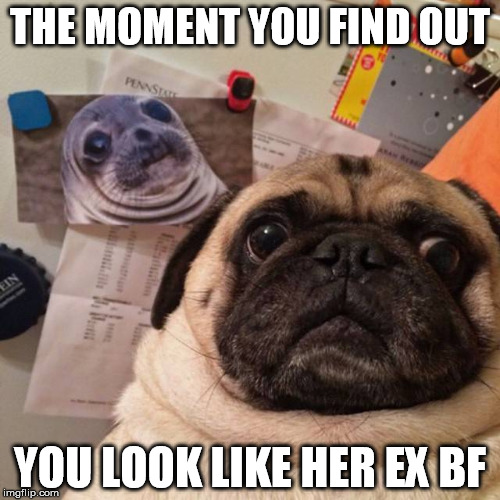 mfw when | THE MOMENT YOU FIND OUT; YOU LOOK LIKE HER EX BF | image tagged in dog ex seal | made w/ Imgflip meme maker