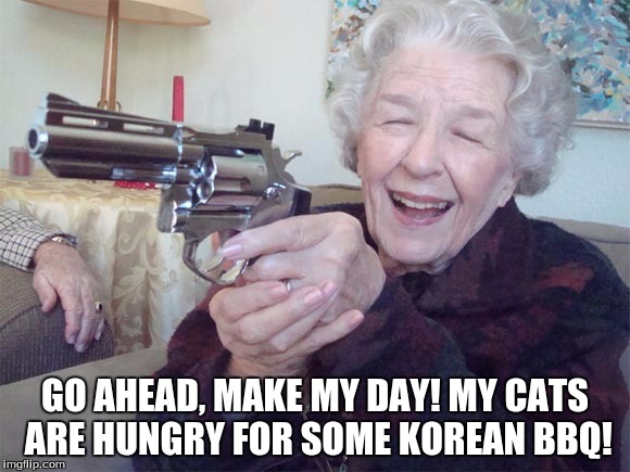 Old lady takes aim | GO AHEAD, MAKE MY DAY!
MY CATS ARE HUNGRY FOR SOME KOREAN BBQ! | image tagged in old lady takes aim | made w/ Imgflip meme maker