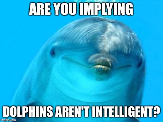 ARE YOU IMPLYING DOLPHINS AREN'T INTELLIGENT? | made w/ Imgflip meme maker