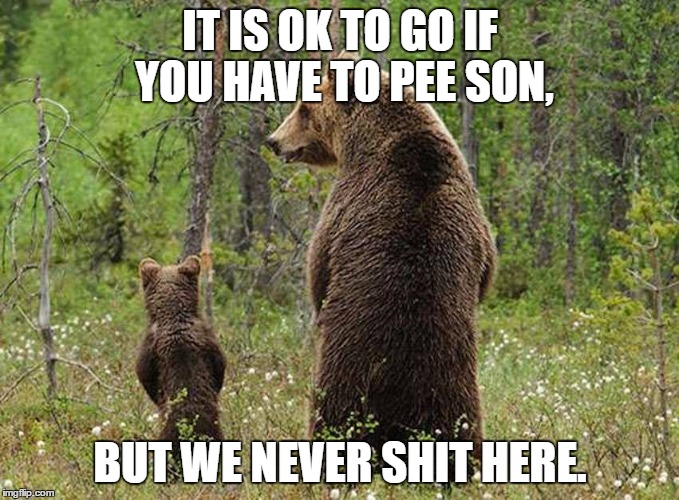 does a bear s&*# in the woods | IT IS OK TO GO IF YOU HAVE TO PEE SON, BUT WE NEVER SHIT HERE. | image tagged in bear,funny,funny memes,woods | made w/ Imgflip meme maker