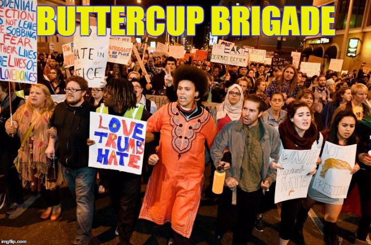 Buttercup Brigade | BUTTERCUP BRIGADE | image tagged in buttercup brigade | made w/ Imgflip meme maker